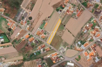 Terreno para Venda em Avanca