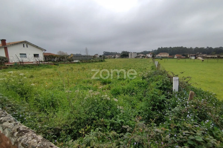 Terreno para Venda em Avanca Foto 6