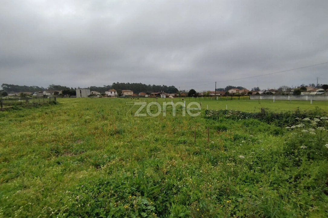 Terreno para Venda em Avanca Foto 7