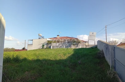 Terreno para Venda em Beduído e Veiros