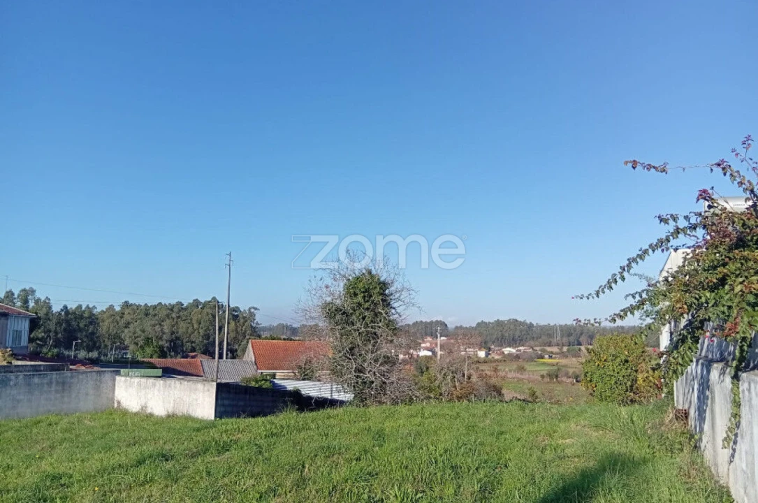 Terreno para Venda em Beduído e Veiros Foto 11