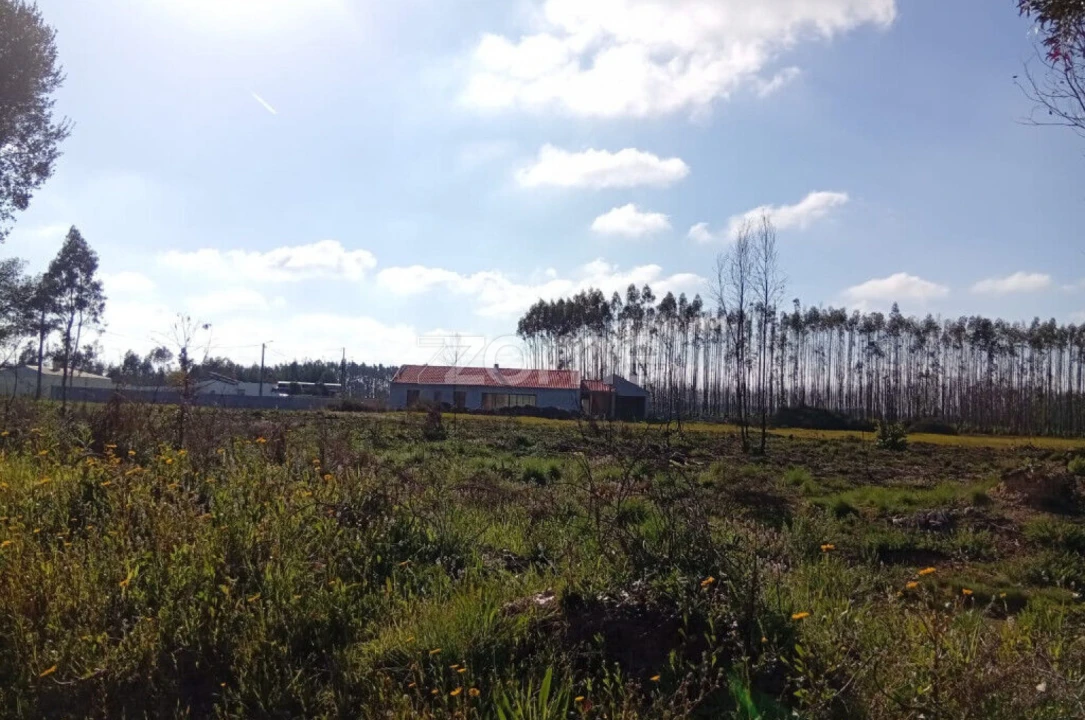 Terreno para Venda em Águeda e Borralha Foto 6