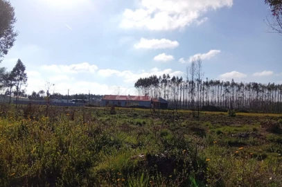 Terreno para Venda em Águeda e Borralha