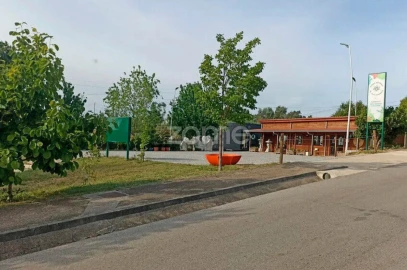 Terreno para Venda em Águeda e Borralha