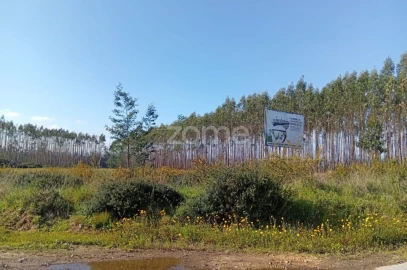 Terreno para Venda em Águeda e Borralha
