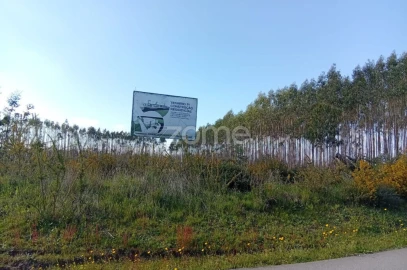 Terreno para Venda em Águeda e Borralha