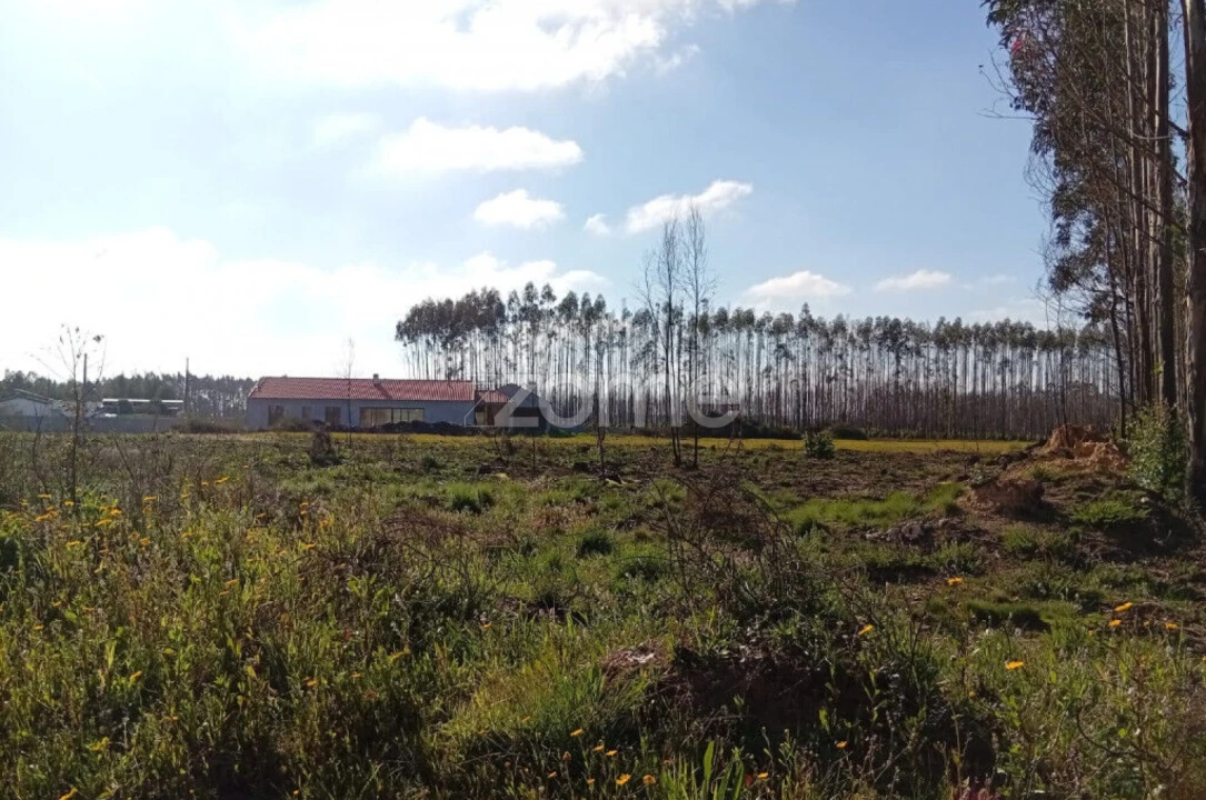 Terreno para Venda em Águeda e Borralha Foto 7