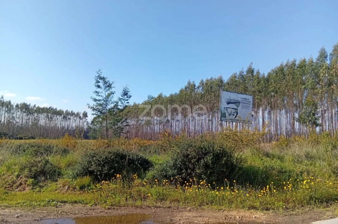 Terreno para Venda em Águeda e Borralha Foto 4