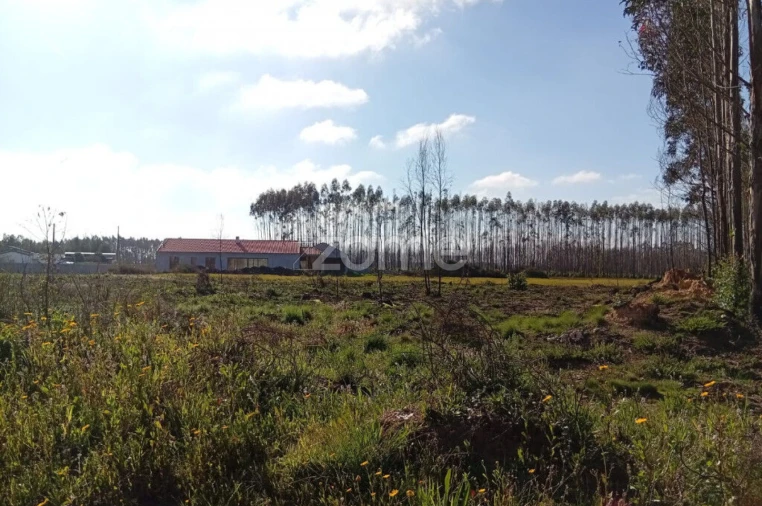 Terreno para Venda em Águeda e Borralha Foto 8