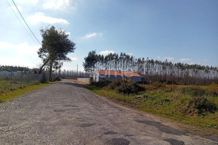 Terreno para Venda em Águeda e Borralha Foto 10