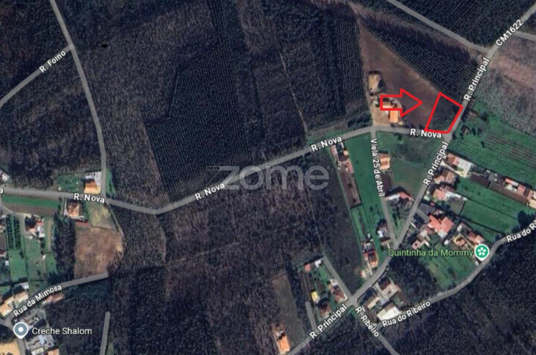 Terreno para Venda em Águeda e Borralha Foto 1