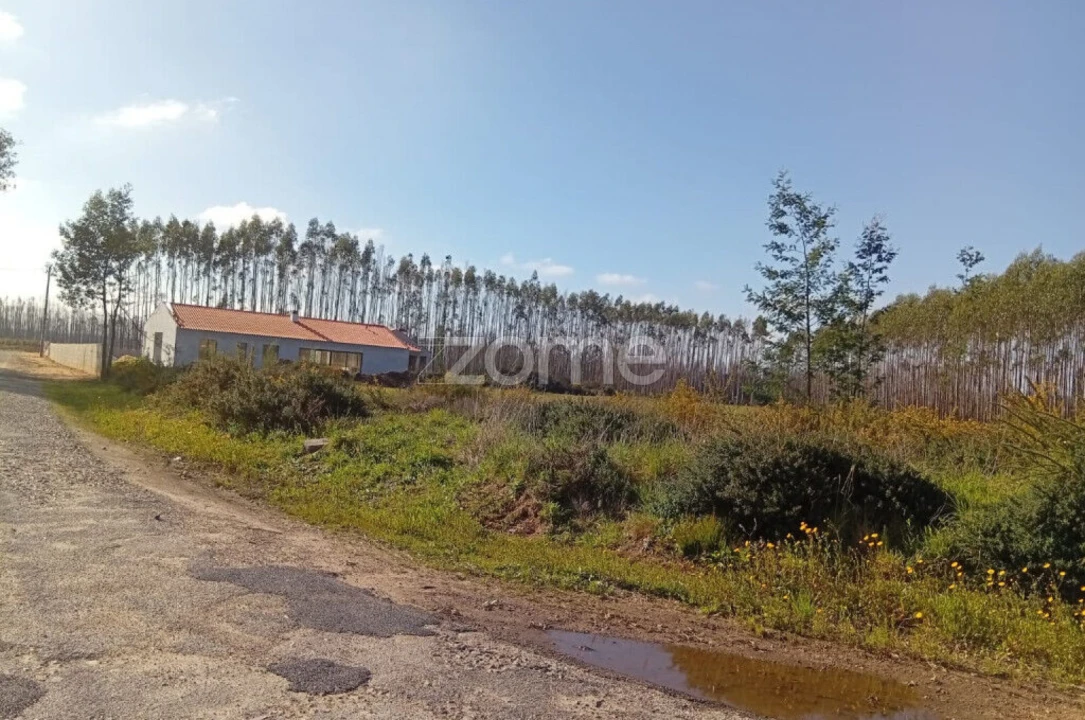 Terreno para Venda em Águeda e Borralha Foto 12
