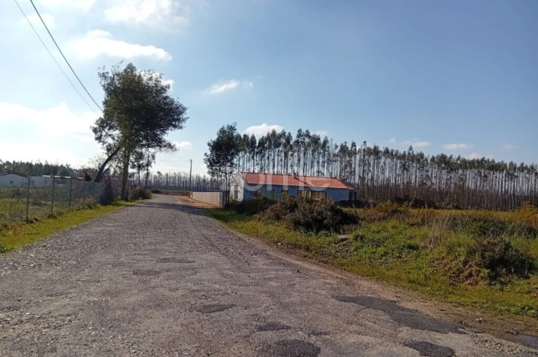 Terreno para Venda em Águeda e Borralha Foto 10