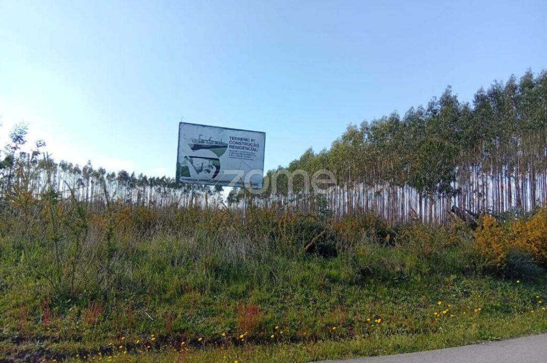 Terreno para Venda em Águeda e Borralha Foto 3