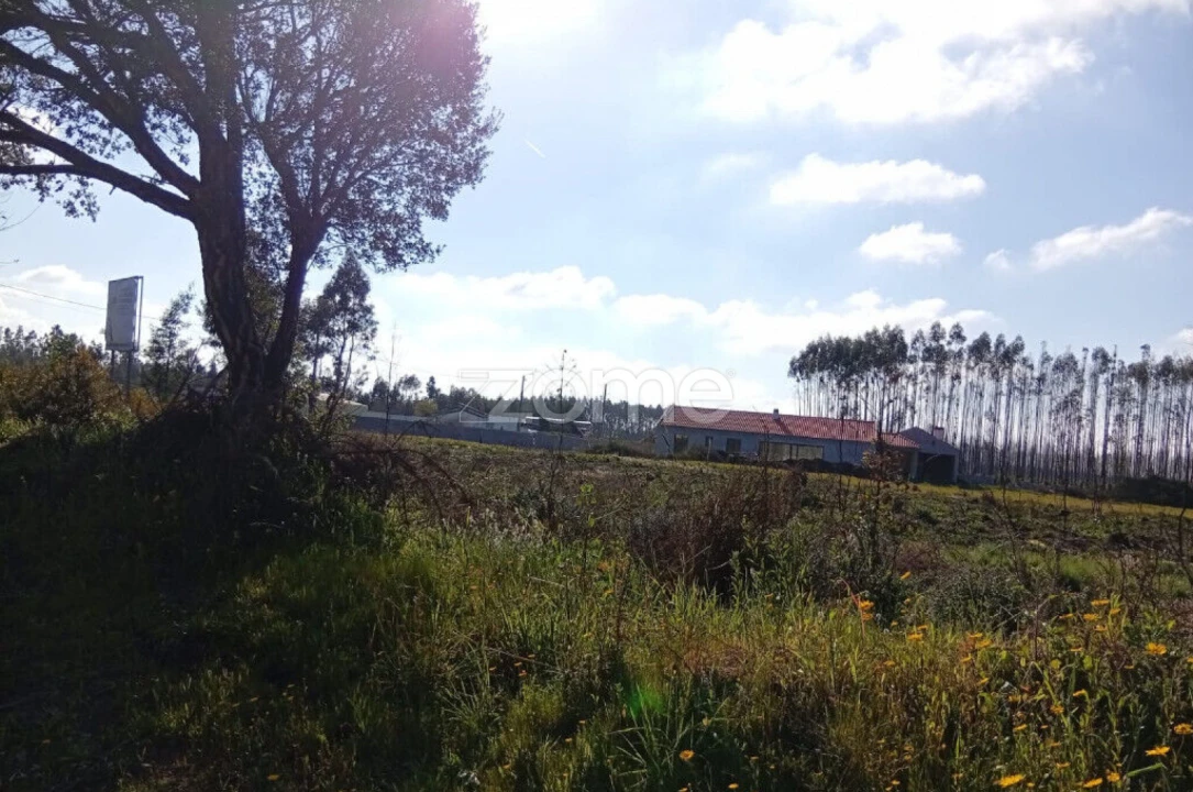 Terreno para Venda em Águeda e Borralha Foto 9