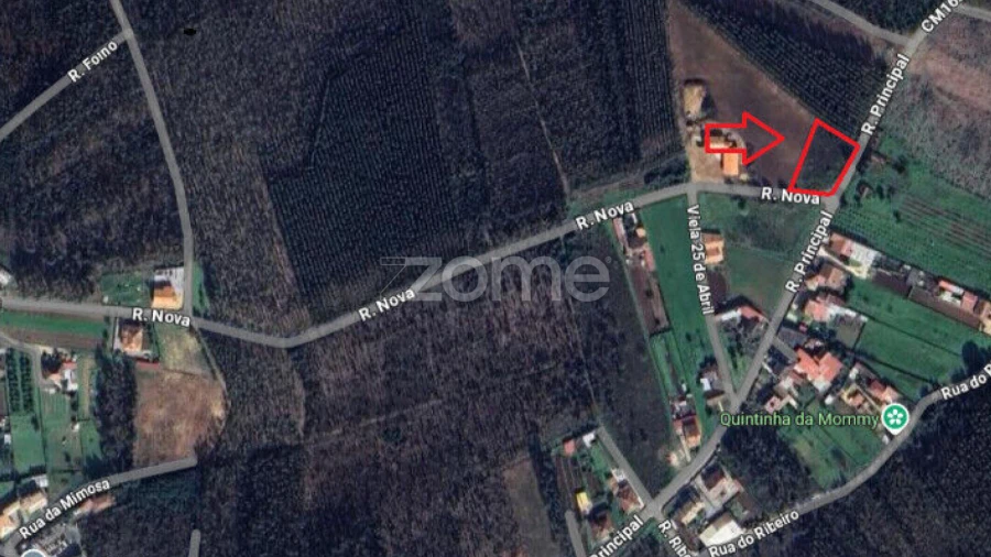Terreno para Venda em Águeda e Borralha
