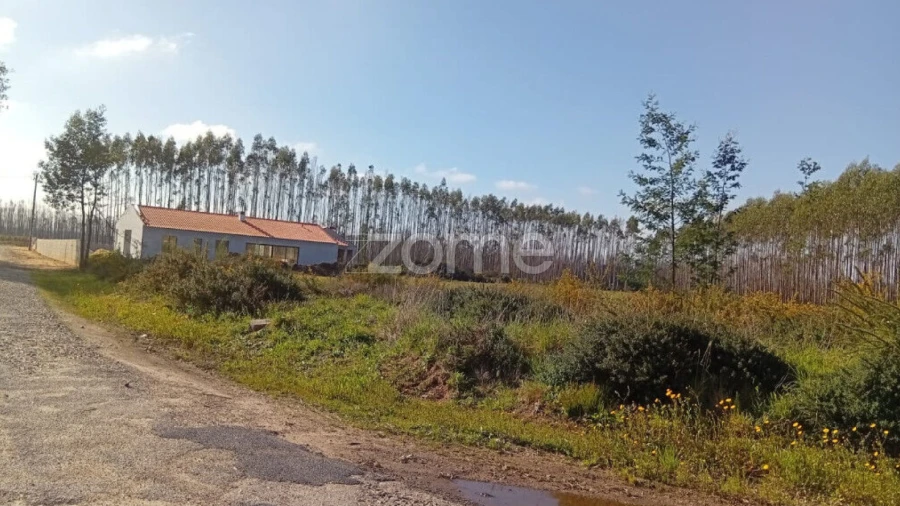Terreno para Venda em Águeda e Borralha