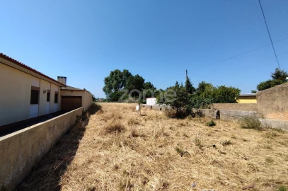 Terreno para Venda em Beduído e Veiros