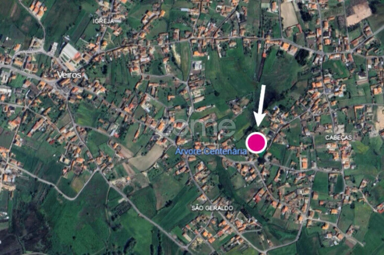 Terreno para Venda em Beduído e Veiros Foto 5
