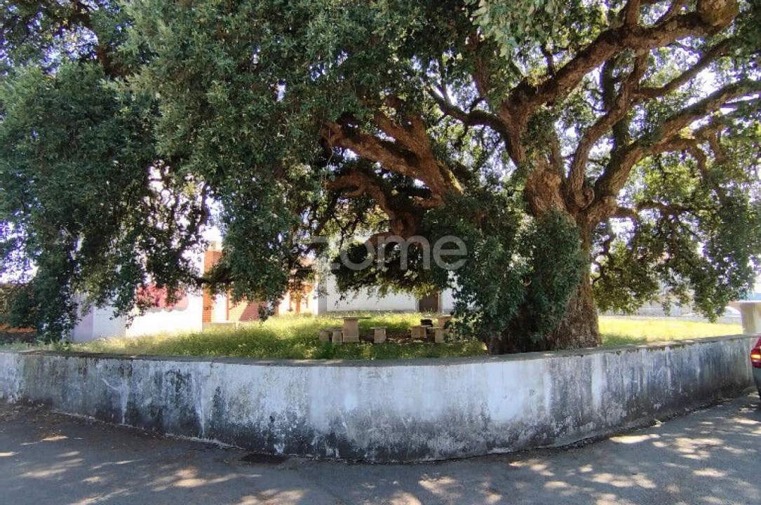 Terreno para Venda em Beduído e Veiros Foto 9