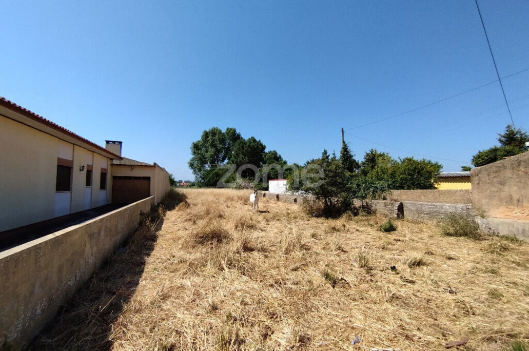 Terreno para Venda em Beduído e Veiros Foto 7