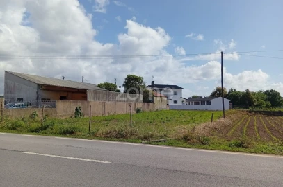 Terreno para Venda em Beduído e Veiros