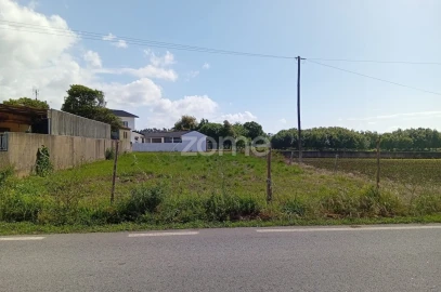 Terreno para Venda em Beduído e Veiros