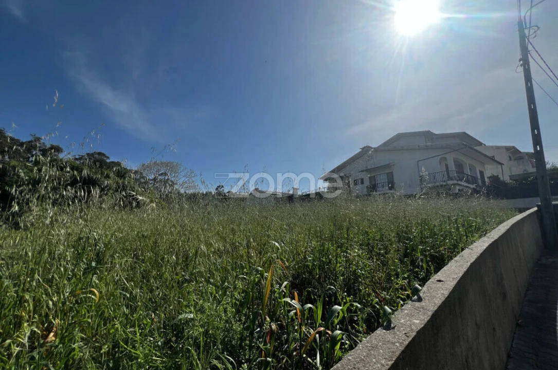 Terreno para Venda em Salreu Foto 10