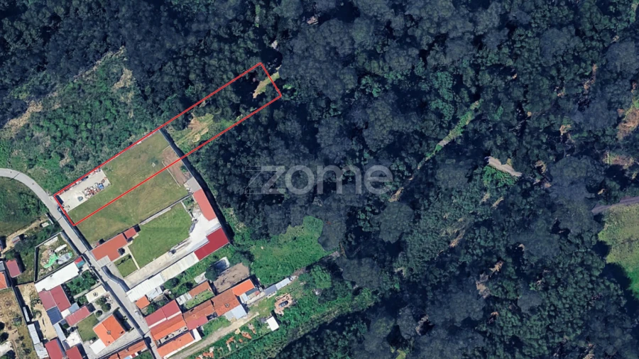 Terreno para Venda em Monte