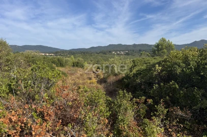 Terreno para Venda em Alcabideche