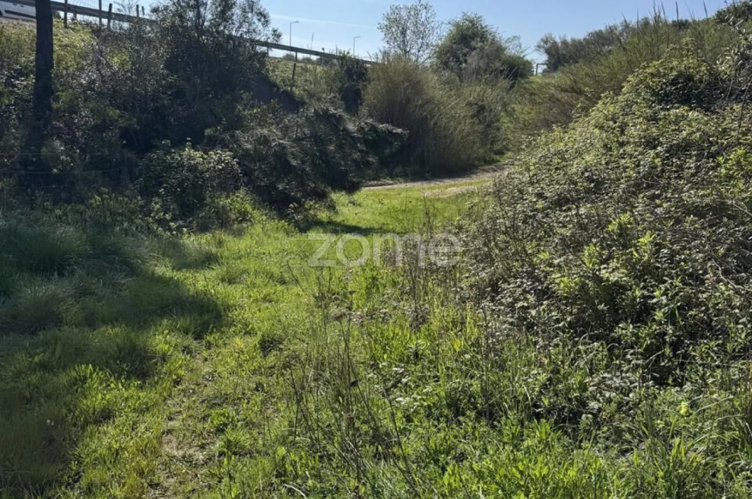 Terreno para Venda em Enxara do Bispo, Gradil e Vila Franca do Rosário Foto 9