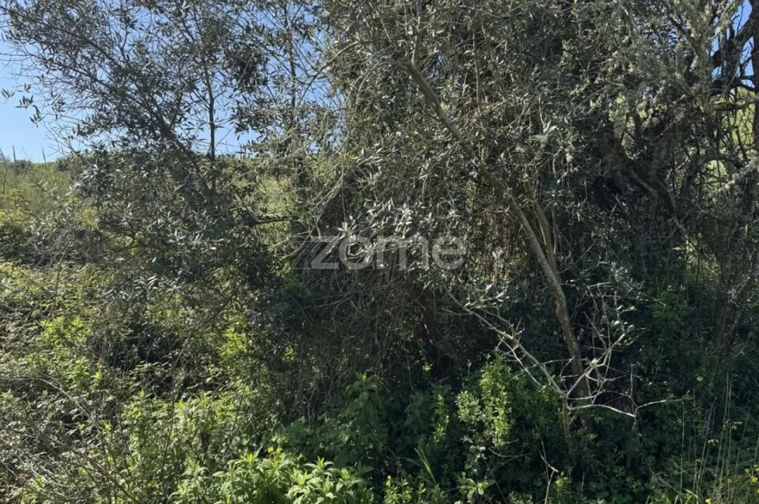 Terreno para Venda em Enxara do Bispo, Gradil e Vila Franca do Rosário Foto 13