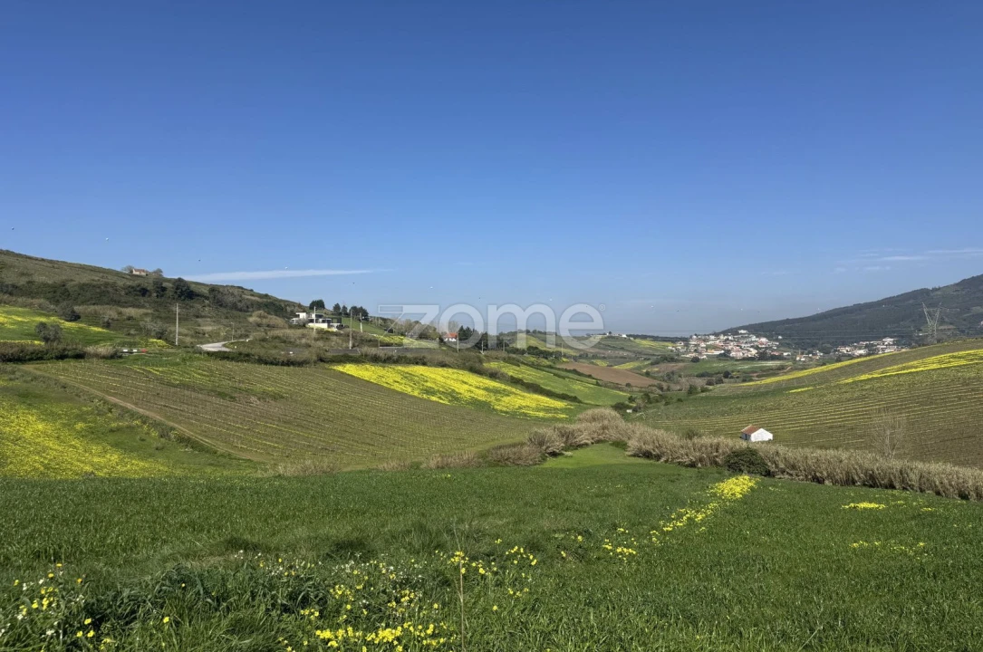 Terreno para Venda em Enxara do Bispo, Gradil e Vila Franca do Rosário Foto 25