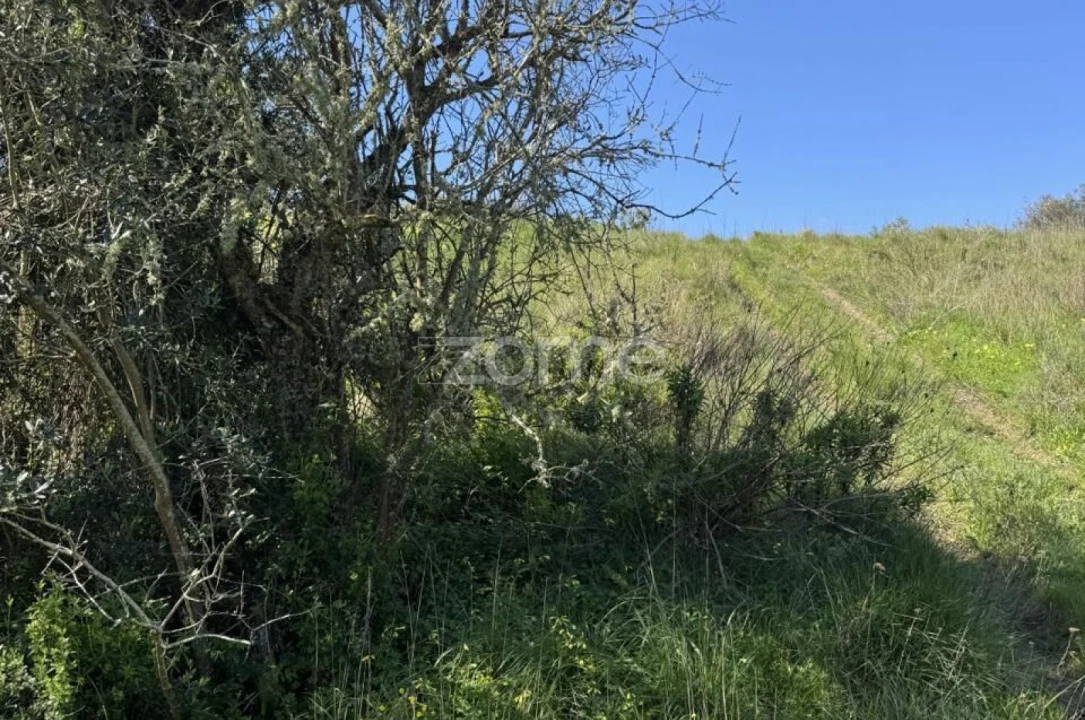 Terreno para Venda em Enxara do Bispo, Gradil e Vila Franca do Rosário Foto 11