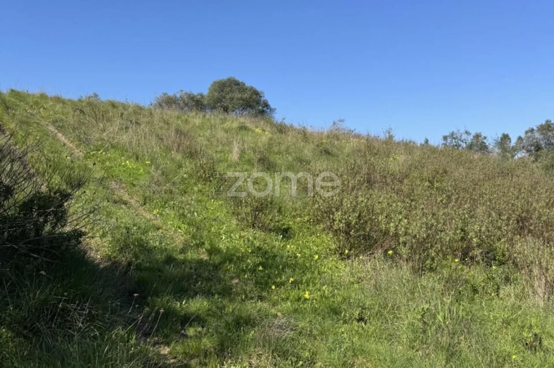 Terreno para Venda em Enxara do Bispo, Gradil e Vila Franca do Rosário Foto 12