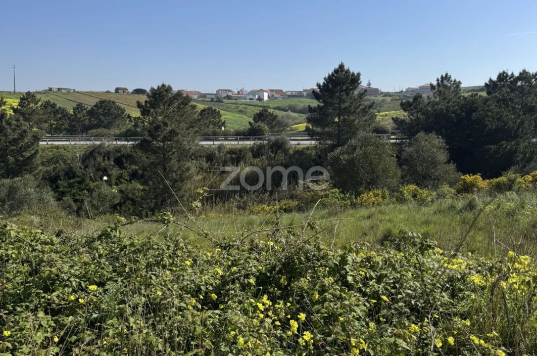 Terreno para Venda em Enxara do Bispo, Gradil e Vila Franca do Rosário Foto 16