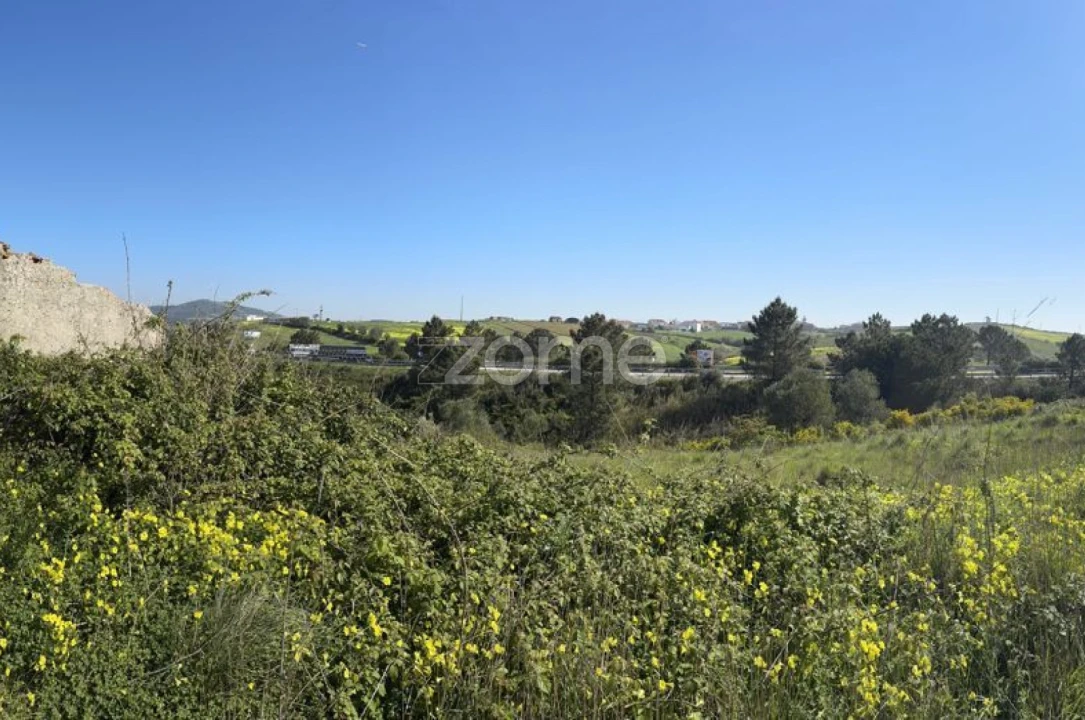 Terreno para Venda em Enxara do Bispo, Gradil e Vila Franca do Rosário Foto 5