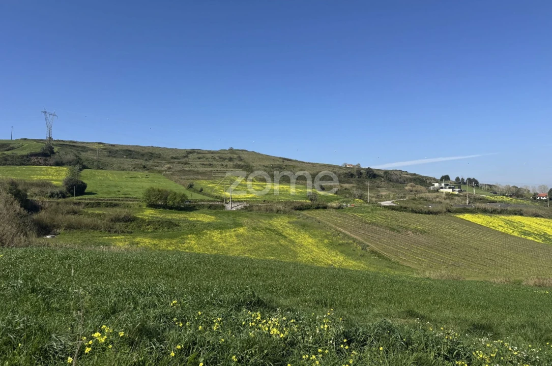 Terreno para Venda em Enxara do Bispo, Gradil e Vila Franca do Rosário Foto 18