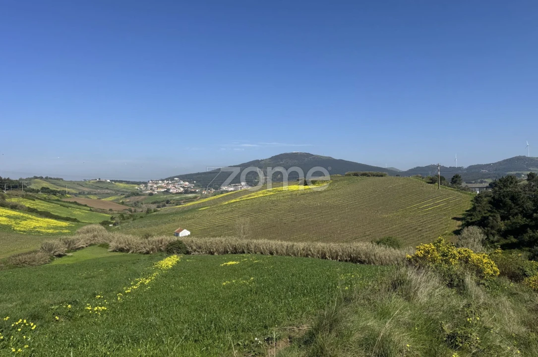 Terreno para Venda em Enxara do Bispo, Gradil e Vila Franca do Rosário Foto 20