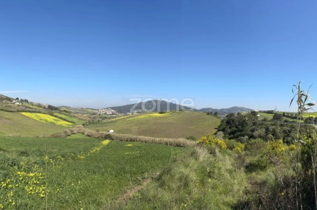Terreno para Venda em Enxara do Bispo, Gradil e Vila Franca do Rosário Foto 22