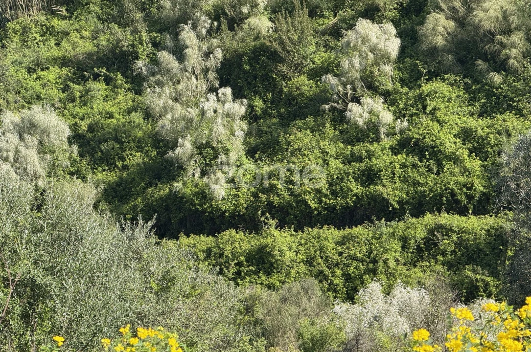 Terreno para Venda em Enxara do Bispo, Gradil e Vila Franca do Rosário Foto 32
