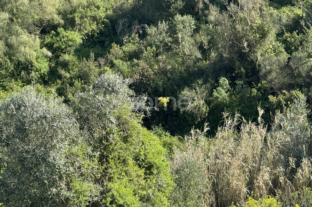Terreno para Venda em Enxara do Bispo, Gradil e Vila Franca do Rosário Foto 24