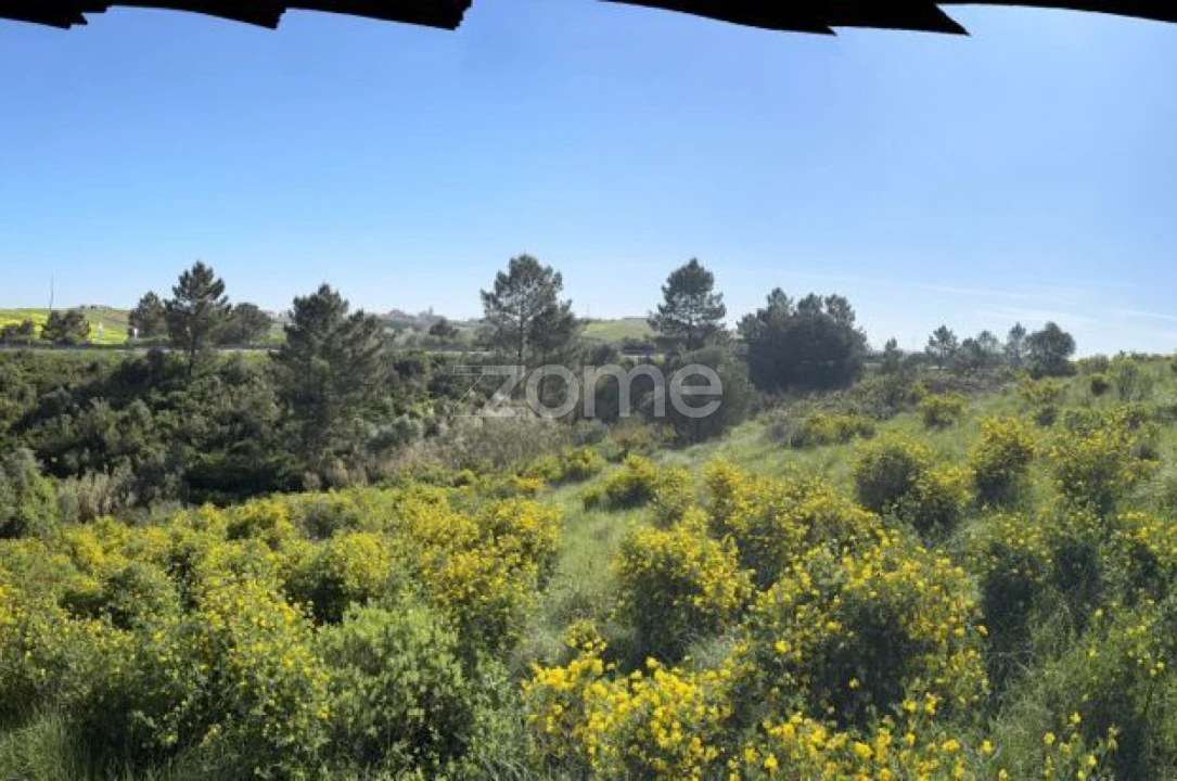 Terreno para Venda em Enxara do Bispo, Gradil e Vila Franca do Rosário Foto 26