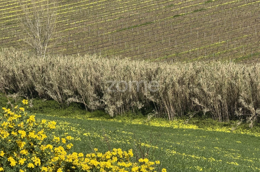 Terreno para Venda em Enxara do Bispo, Gradil e Vila Franca do Rosário Foto 27