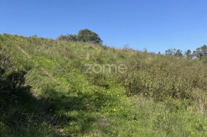 Terreno para Venda em Enxara do Bispo, Gradil e Vila Franca do Rosário
