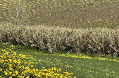 Terreno para Venda em Enxara do Bispo, Gradil e Vila Franca do Rosário