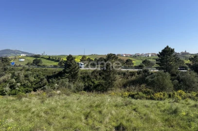 Terreno para Venda em Enxara do Bispo, Gradil e Vila Franca do Rosário