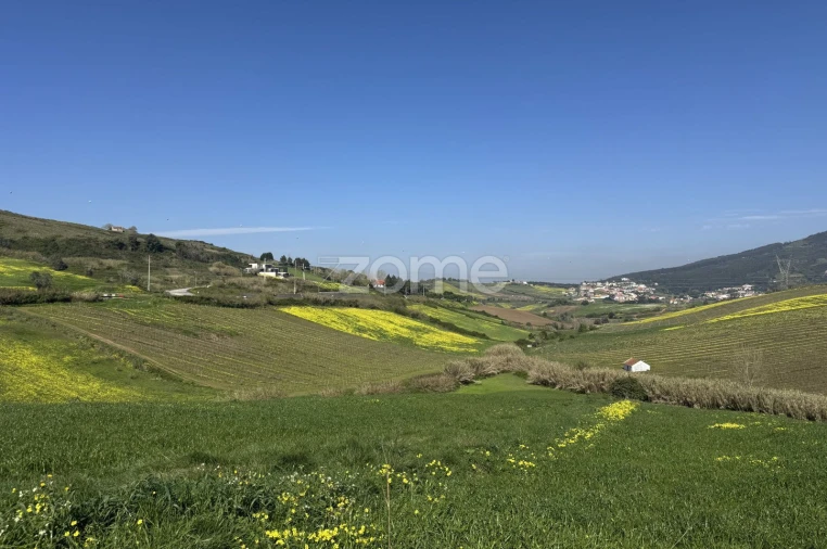 Terreno para Venda em Enxara do Bispo, Gradil e Vila Franca do Rosário Foto 25