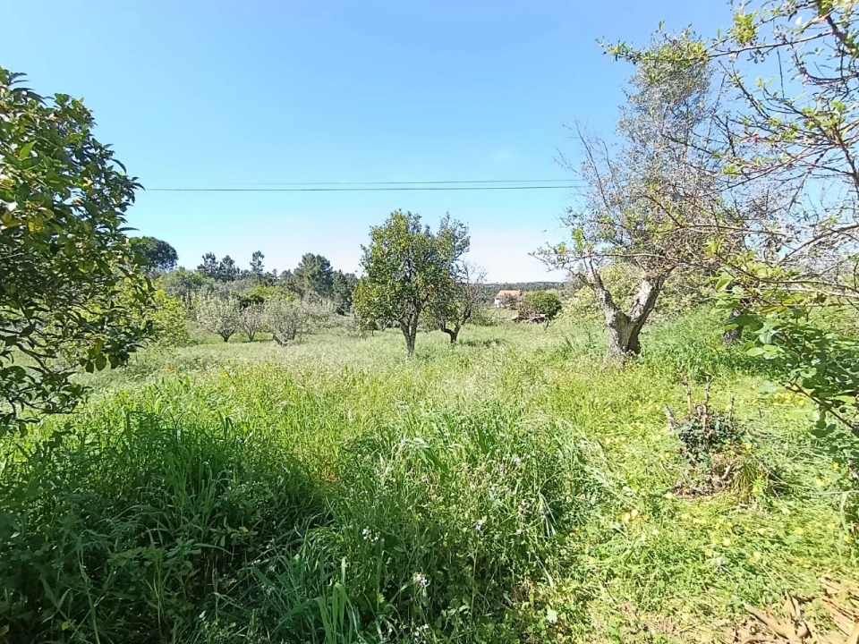 Moradia T4 para Venda em Sardoal Foto 34