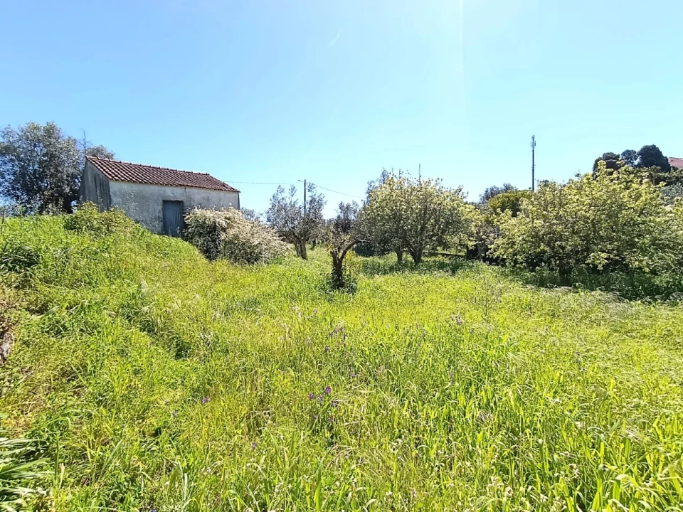 Moradia T4 para Venda em Sardoal Foto 33